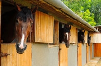 free Buckfastleigh stable construction quotes